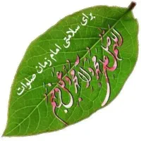 مسافر از شهرستان لامرد و مهر به مرز شلمچه