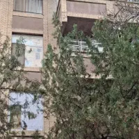 آپارتمان دو خوابه فرانسوی ساز فلکه خاتون