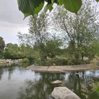 عکاس با روابط عمومی بالا از مبتدی تا حرفه ای