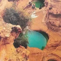 گشت جزیره راننده بومی دربست|تور و چارتر|قشم, |دیوار