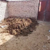 کود گاوی درجه یک و خشک و بهترین کود