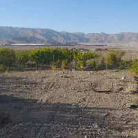 باغ نزدیک جلفا نزدیک جاده اصلی