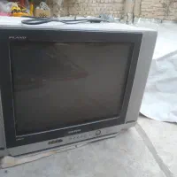 تلویزیون
