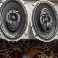 باند خربزه ای سالامون اصلی