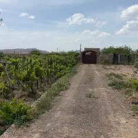 باغ فروشی ۹۰۰۰ متری با ۸ ساعت آب چاه موتور