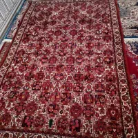 فرش دستبافت سنتی محلی کلکسیونی کلسیک|فرش|بندرعباس, |دیوار