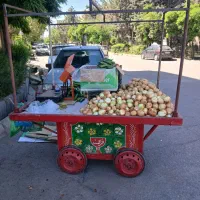چرخ تافی سالم تخیف پایه مامله