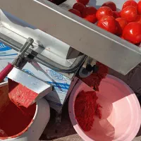 آبگوجه گیری سیار در محدوده شاندیز