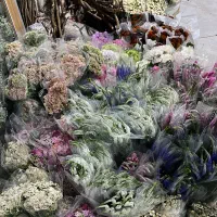 استخدام نیرو برای کار در پخش گل|استخدام خدمات فروشگاه و رستوران|شیراز, رکن‌آباد|دیوار