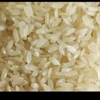 خورده برنج و نیچک کامفیروزی|خوردنی و آشامیدنی|شیراز, آزادگان|دیوار