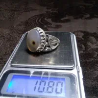 شجر بوته