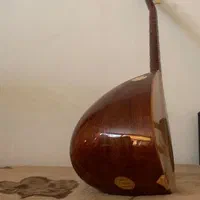بسیار نو|سازهای سنتی|تهران, آرژانتین|دیوار