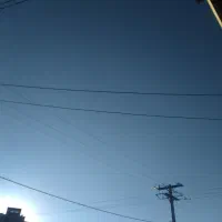 فروش زمین کشاورزی