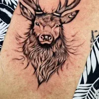 جدیدترین تکنیک آموزش تخصصی و اجرای حرفه ای تتو|خدمات آرایشگری و زیبایی|نجف‌آباد, امیرآباد|دیوار