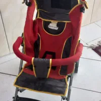 تعداد کالسکه دلیجان و عصایی