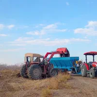 پخش کود دامی باغات پسته