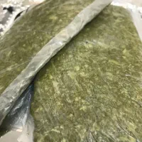 جاشیر تازه واصل به شرط