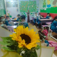استخدام مربی وکارآموز