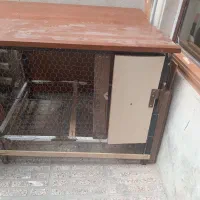 قفس آهنی