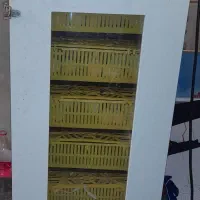 دستگاه جوجه کشی