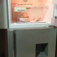 یخچال فریز الجی