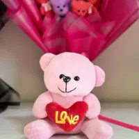 انواع عروسک خرسی و غیره ولنتاین آرایشی شمس