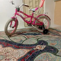 دوچرخه ۱۶ درحد