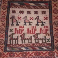 فرش دست بافت|فرش|پاکدشت, پاکدشت (مامازند)|دیوار