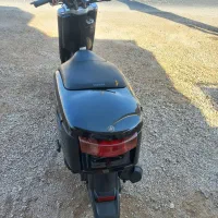 پاکشتی ووکس