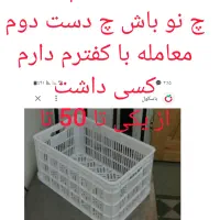 کفتر