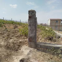 باغ-انگور-روستای-عرب-320متر