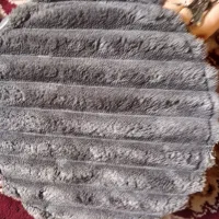 همه باهم مفت مفت