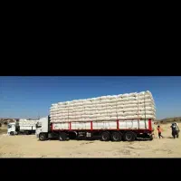 کاه دیم کردستان