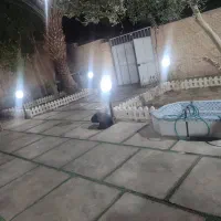 استا همه کاره