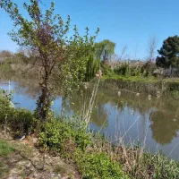 سند تک برگ کاربری مسکونی 300 متر چمخاله