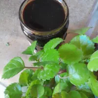 شیره انگور