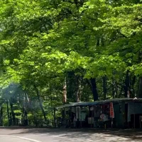 تور شمال گردی|تور و چارتر|باغ بهادران, |دیوار