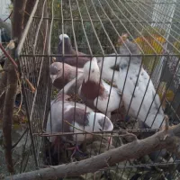 ۱۰تاکفترهوایی