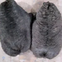 خیگ ترو تمیز