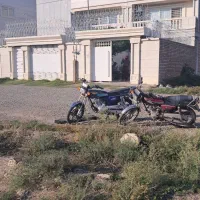 حفاظ شاخ گوزنی