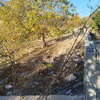 فروش زمین باغچه سادات