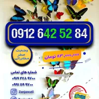 کد 6 هامون همگی خشک 0912.642.6273|سیمکارت|زنجان, |دیوار