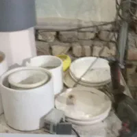 گلدان سرامیکی ترکدار|گل و گیاه طبیعی|بیرجند, |دیوار