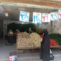 شاگرد ساده و نیمه ماهر برای میوه فروشی