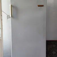 یخچال ارج ۱۰ فوت