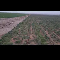 فروش زمین باغی