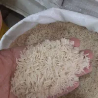 برنج فجرمحلی