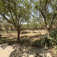 رهن و اجاره باغ ویلا حاشیه جاده سنتو|اجارهٔ کوتاه‌مدت ویلا و باغ|گلمکان, |دیوار