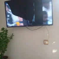 تلویزیون درحد