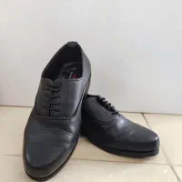 کفش نظامی|کیف، کفش، کمربند|تهران, افسریه شمالی|دیوار